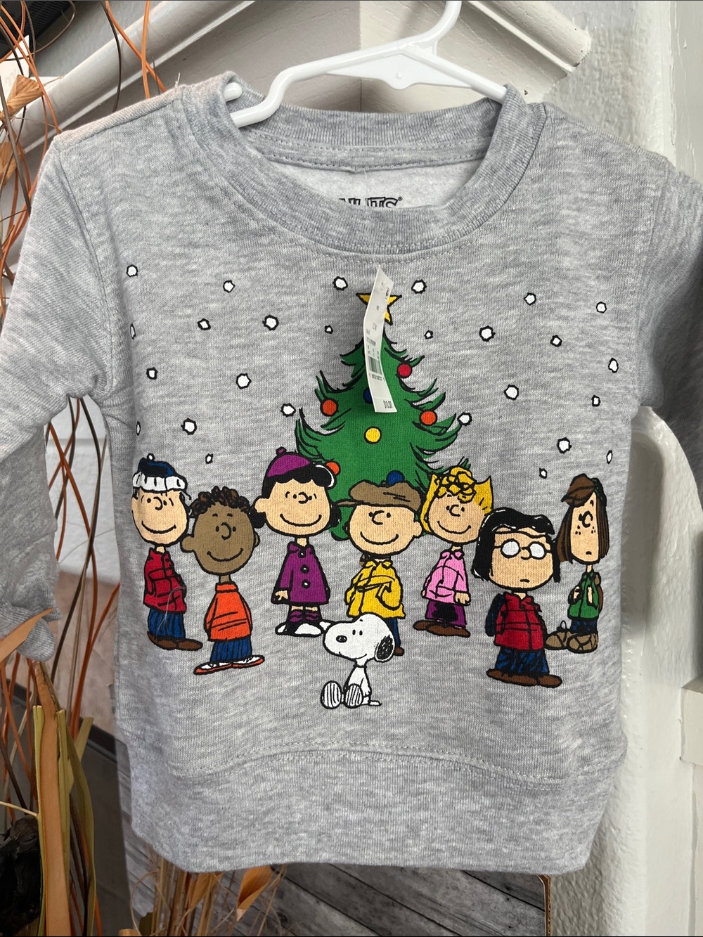 Peanuts Kids Gray Holiday Graphic Sweatshirt